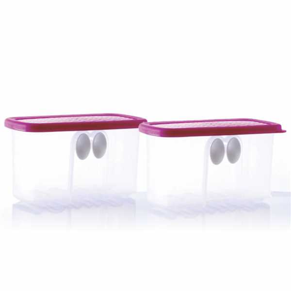 Tupperware Fridge Smart