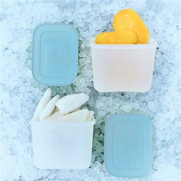 Tupperware Freezermate Gen II