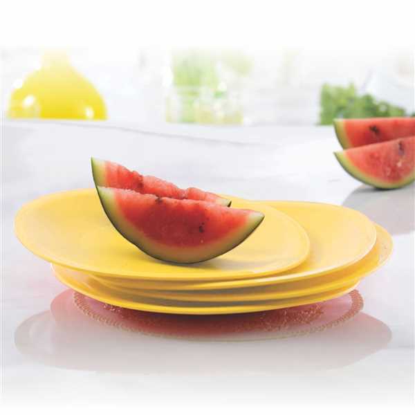 Tupperware Legacy Plates Set of 4