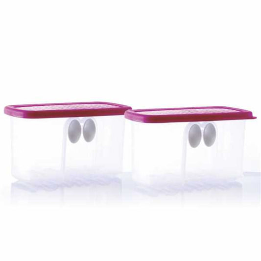 Tupperware Fridge Smart