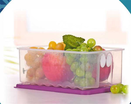 Tupperware Fridge Smart